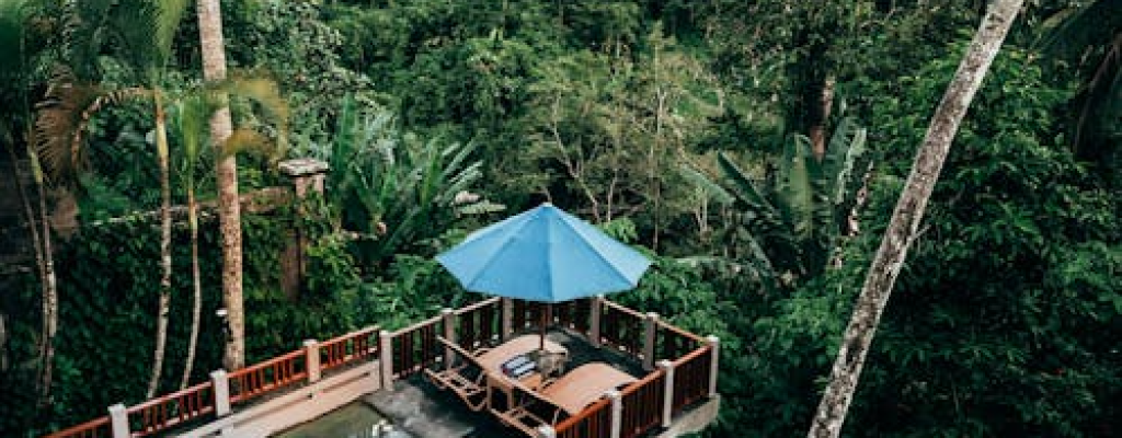 b5a41d2959694c92e0bcfa6cf73cc25d19937ba6 (1)